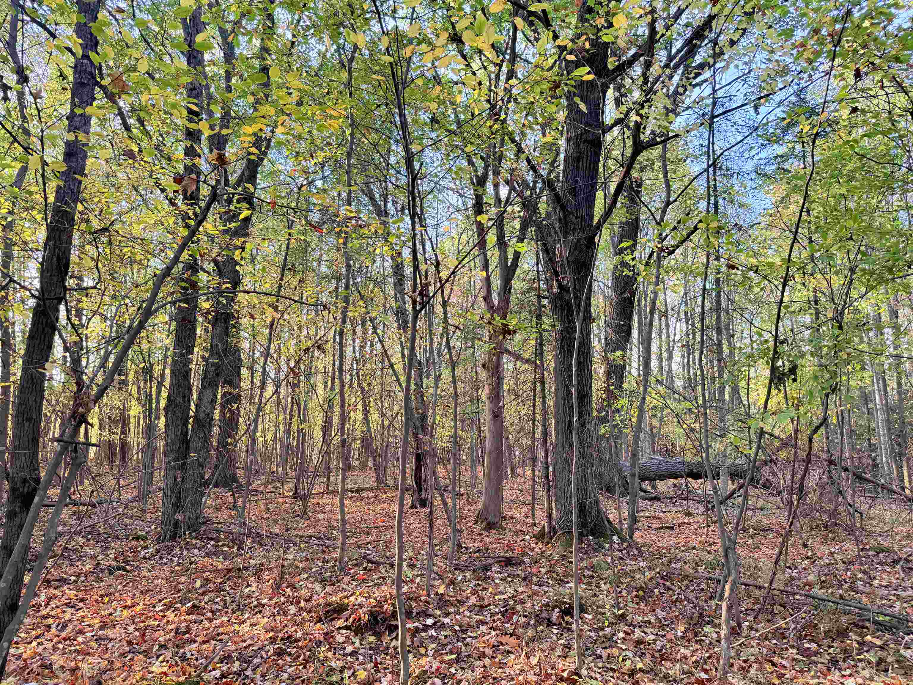Lot 1 County Road Z Ringle, WI 54471 - Photo 11 of 17