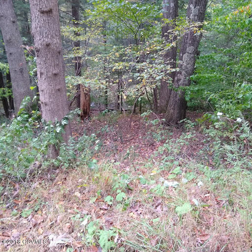 Hollow Road Millville, PA 17846 - Photo 2 of 3 Gallery Image 2