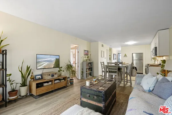 a living room with furniture or couch and a potted plant