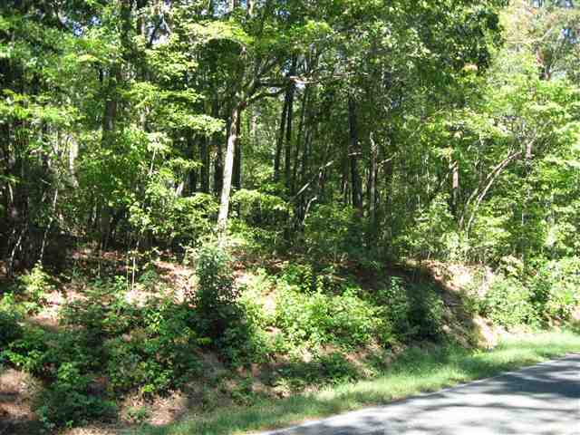Lot 3 Red Hill Road Cameron, NC 28326 - Photo 2 of 9 Additional Photo