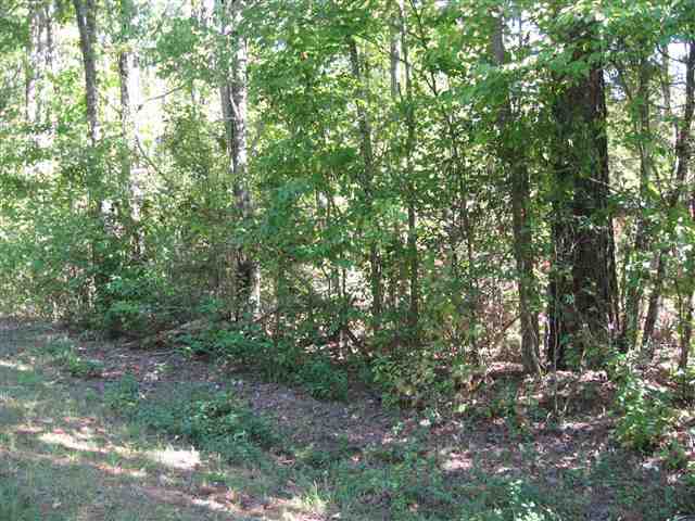 Lot 3 Red Hill Road Cameron, NC 28326 - Photo 5 of 9 Additional Photo