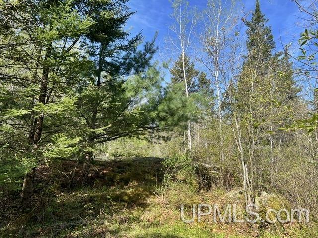 T-wi Wi 54156 Road Pembine, WI 54156 - Photo 5 of 17