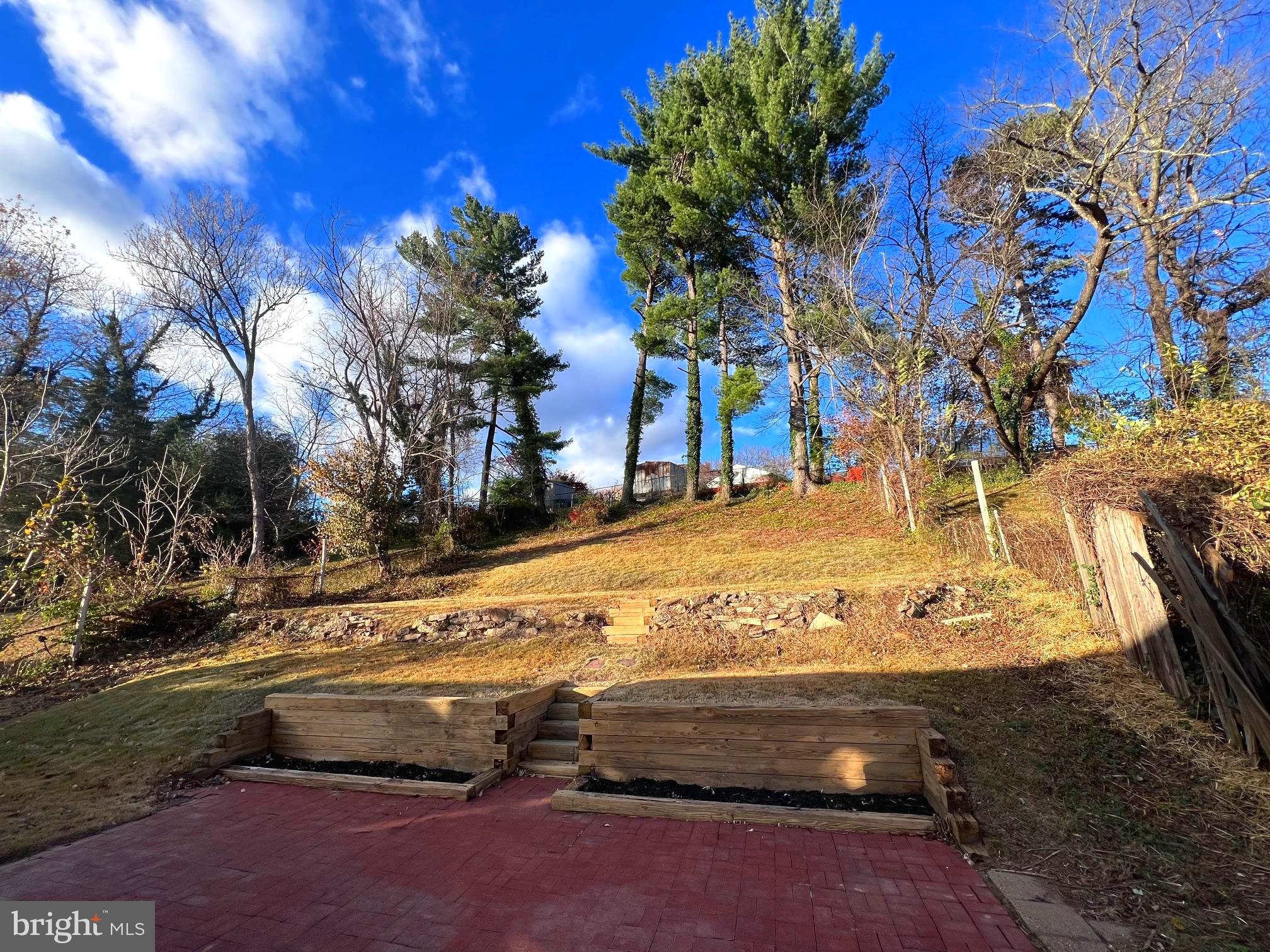 708 Crabb Avenue Rockville, MD 20850 - Photo 18 of 24 a view of road with large trees