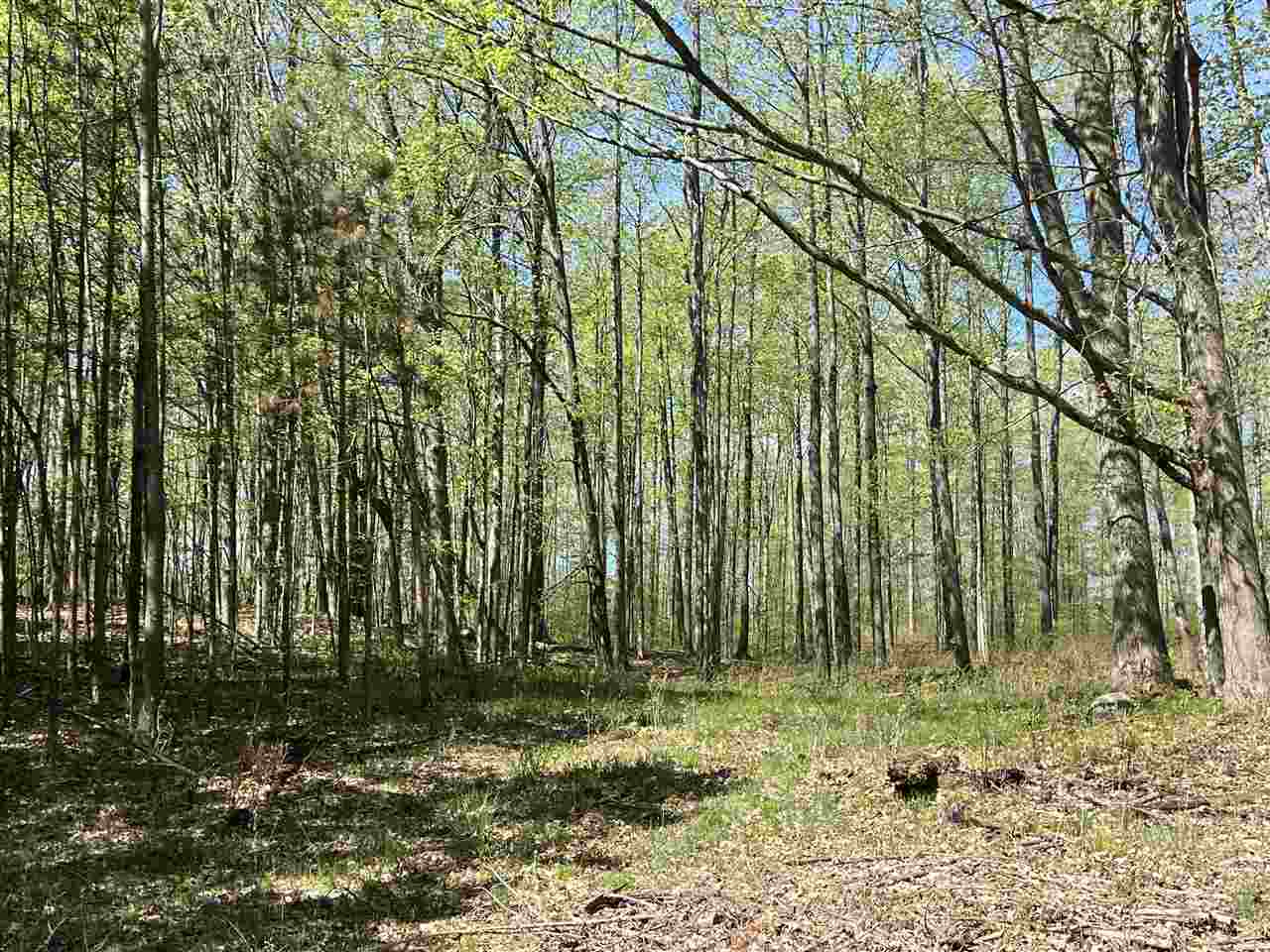 40-acres East Stockwell Road Harrison, MI 48625 - Photo 1 of 3 Gallery Image 1