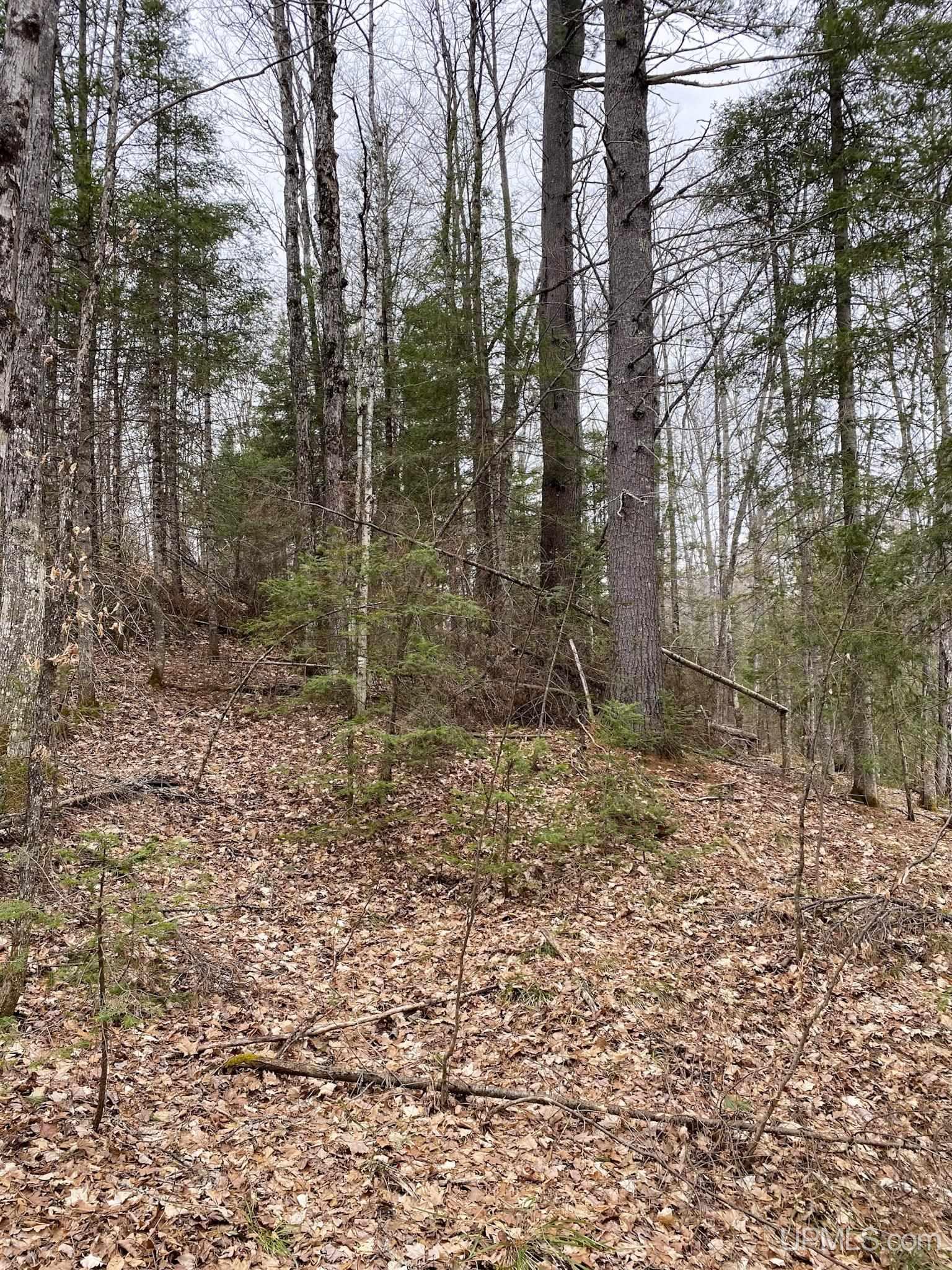 Tbd Tbd County Road Ishpeming, MI 49849 - Photo 22 of 24