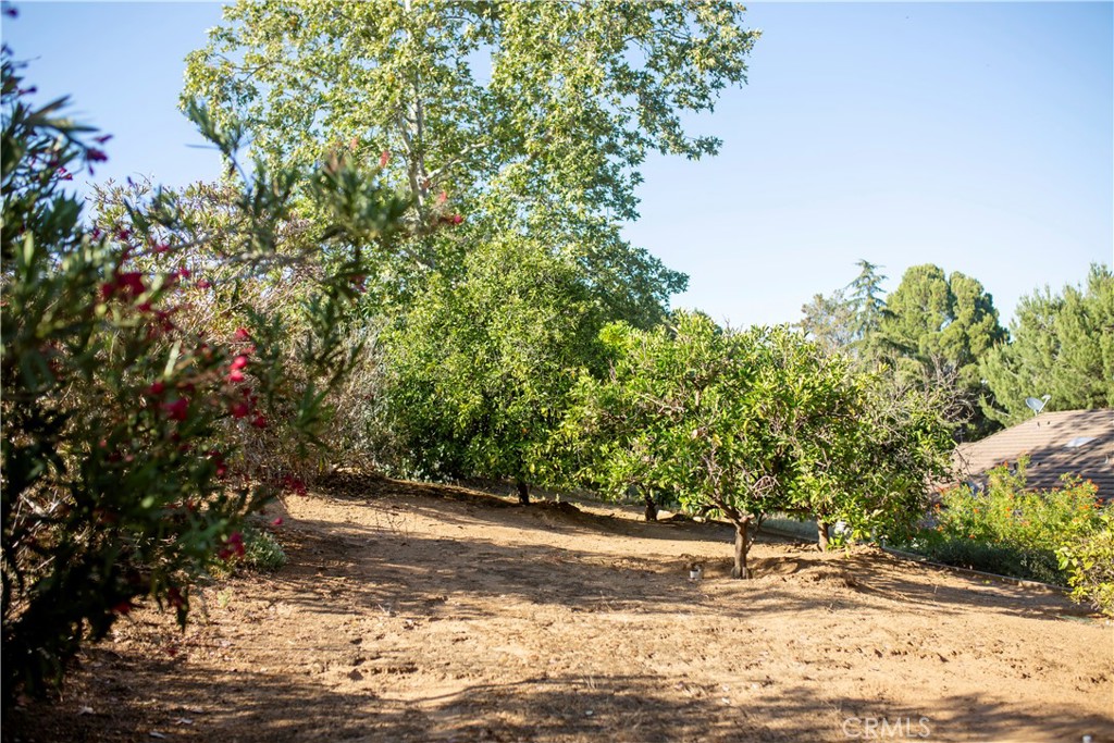 3415 Caballo Lane Fallbrook, CA 92028 - Photo 36 of 42