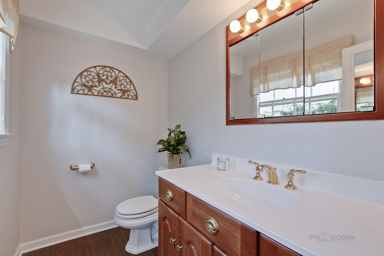 1991 Pheasant Trail Inverness, IL 60067 - Photo 14 of 53 a bathroom with a sink a toilet and a mirror
