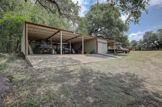 a view of a forest with lots of trees