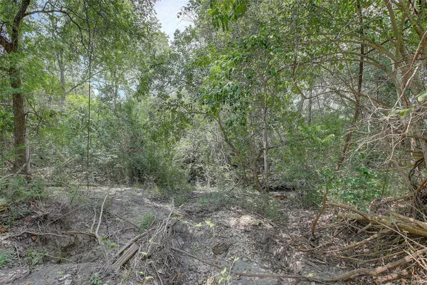 a view of dirt yard with a large tree