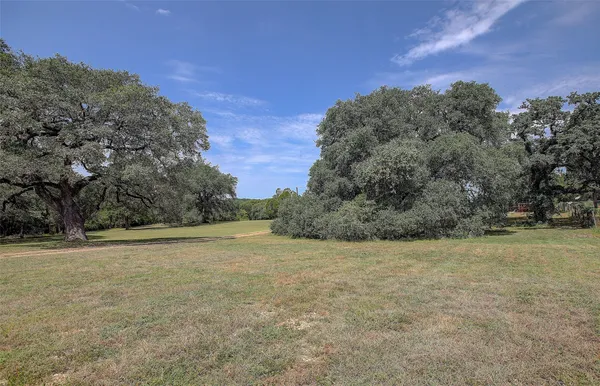 a view of a yard with a tree
