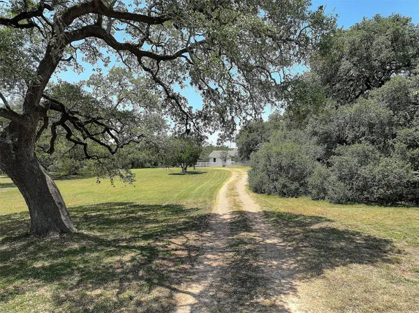 a view of a yard with a large trees