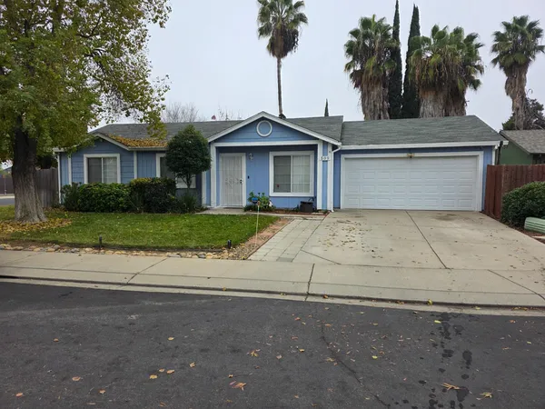 a view of a yard in front of a house