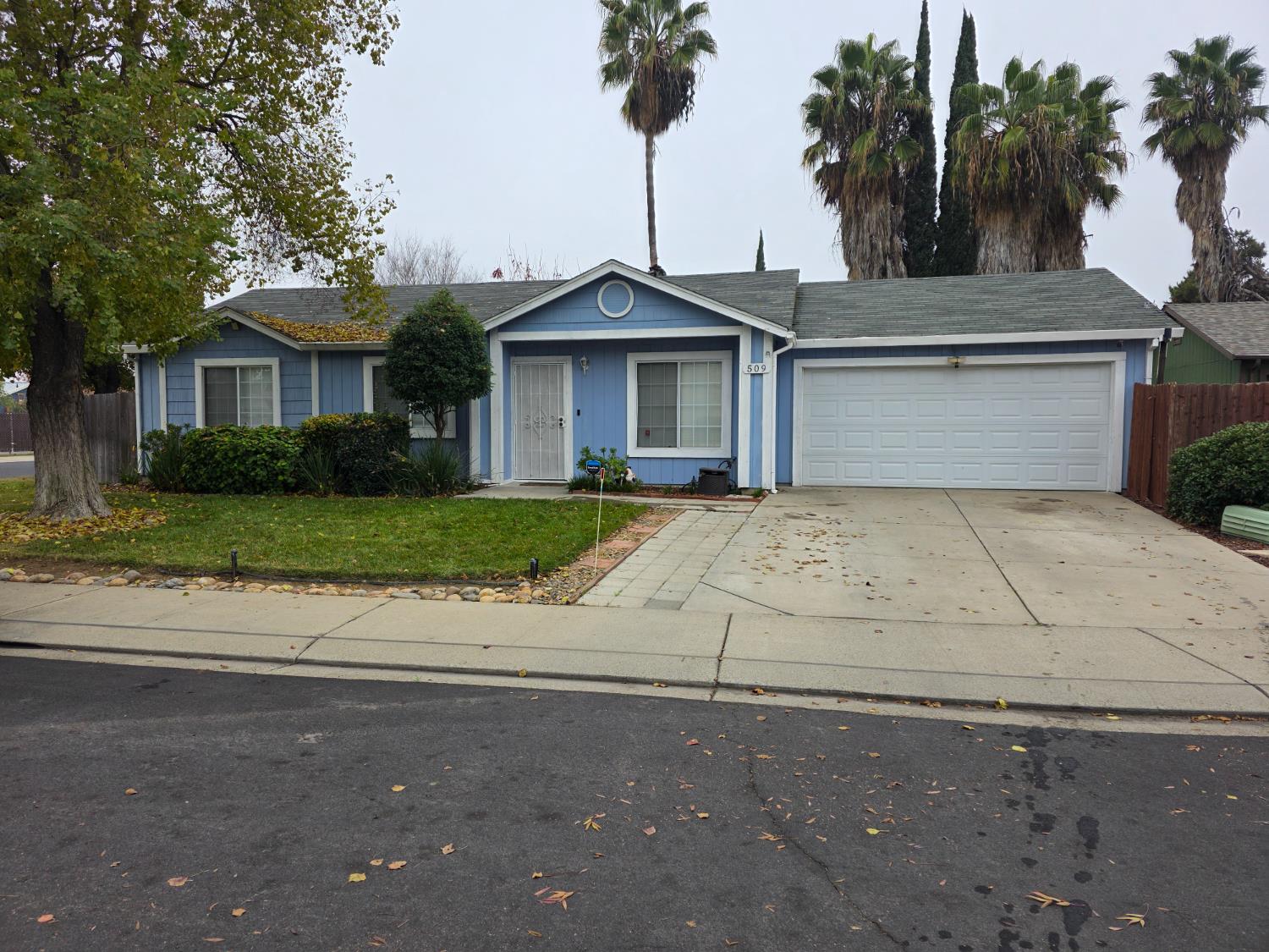 a view of a yard in front of a house