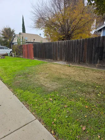 a view of a backyard with large trees and wooden fence