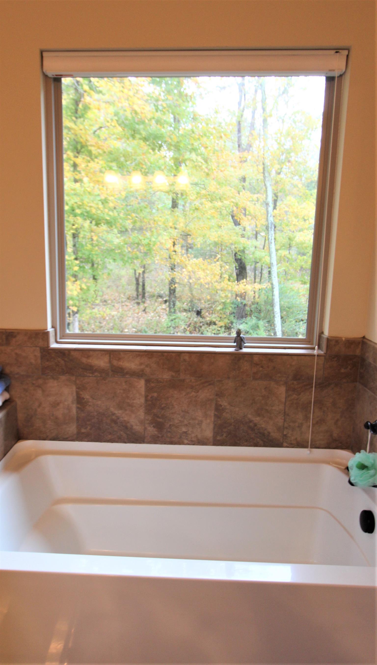 396 Abbey Road Lebanon, TN 37090 - Photo 13 of 23 a bathroom with a bathtub and window