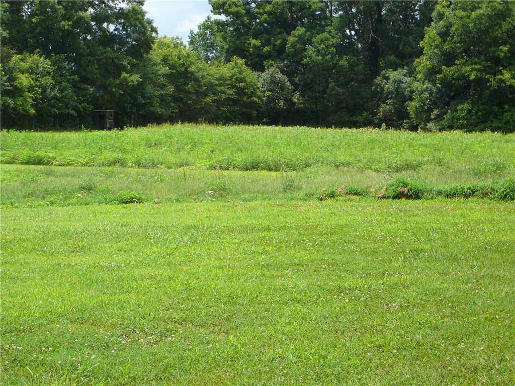 1430 Grady Hall Road Anderson, SC 29626 - Photo 10 of 14 A verdant expanse of land, perfect for a dream home or a nature lover's retreat.