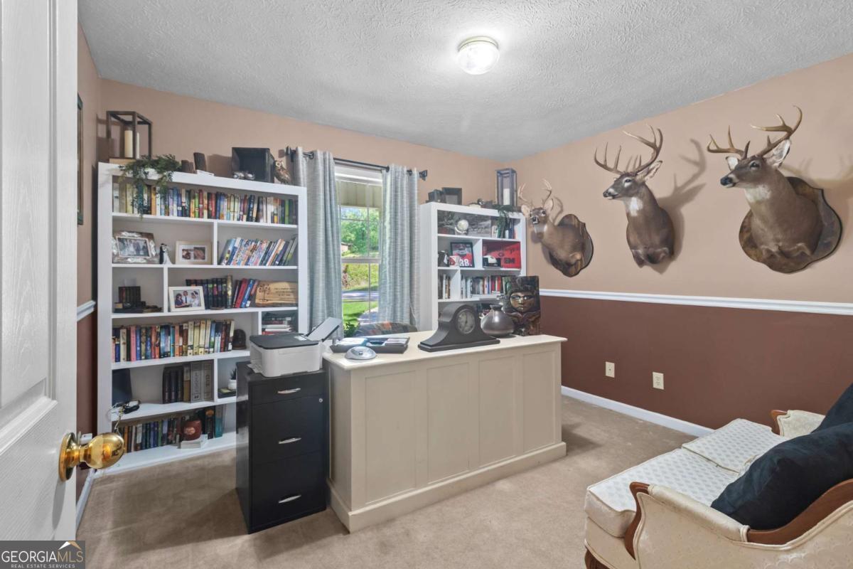 513 South Red Rock Road Toccoa, GA 30577 - Photo 21 of 47 a living room with a couch and a bookshelf