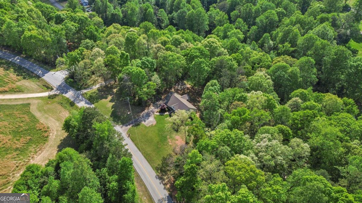 513 South Red Rock Road Toccoa, GA 30577 - Photo 45 of 47 an aerial view of residential houses with outdoor space and trees