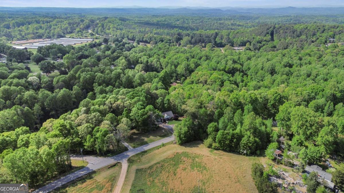 513 South Red Rock Road Toccoa, GA 30577 - Photo 47 of 47 an aerial view of a house with a yard