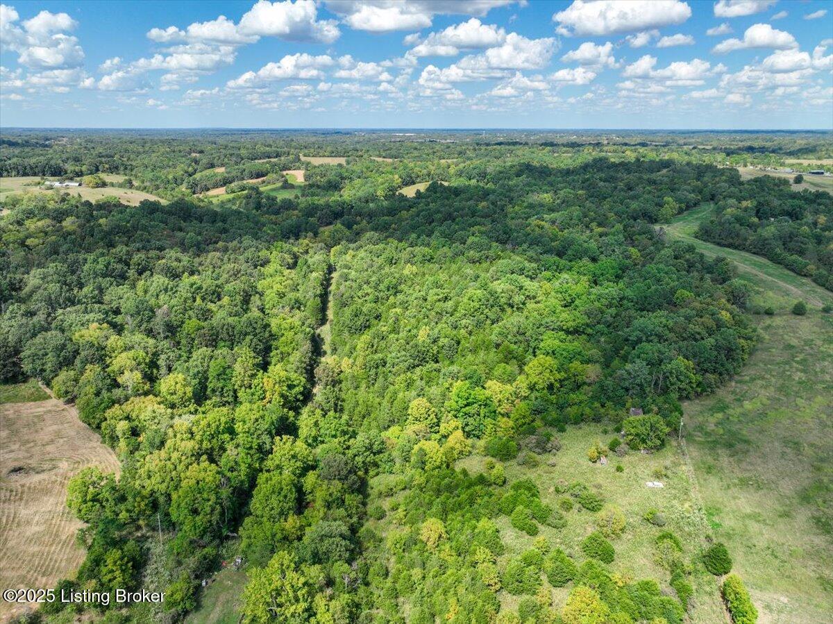 0 Tick Creek Road Springfield, KY 40069 - Photo 1 of 12 01-org_92667fbc3bfd7441_1756754102000