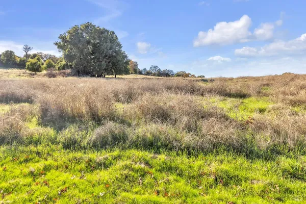 $195,000 | 8245 Point Drive, Kelseyville, CA 95451