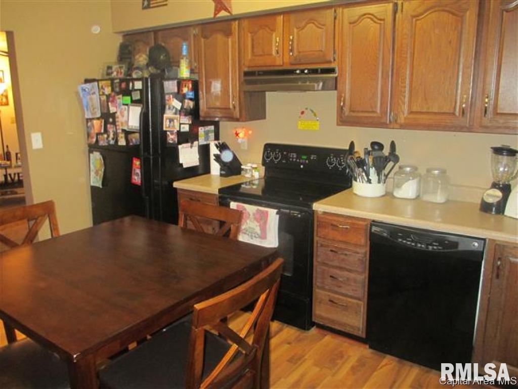 351 West Springfield Street Virginia, IL 62691 - Photo 5 of 16
