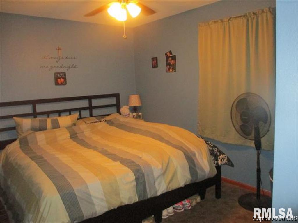 351 West Springfield Street Virginia, IL 62691 - Photo 10 of 16
