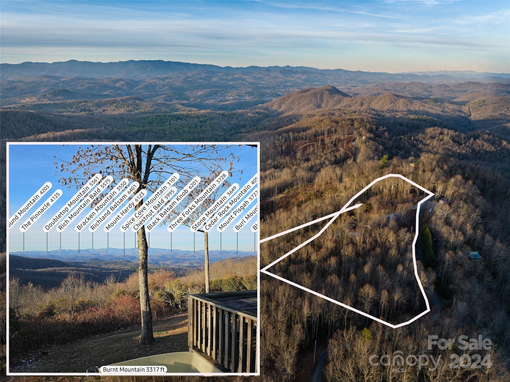 1228 Nancy Mountain Road Rosman, NC 28772 - Photo 3 of 40 Gallery Image 3