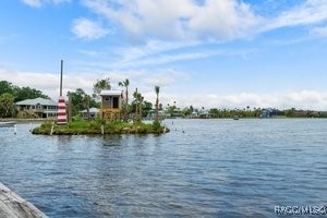 5291 South Cherokee Way Homosassa, FL 34448 - Photo 19 of 27 a view of a lake from a yard