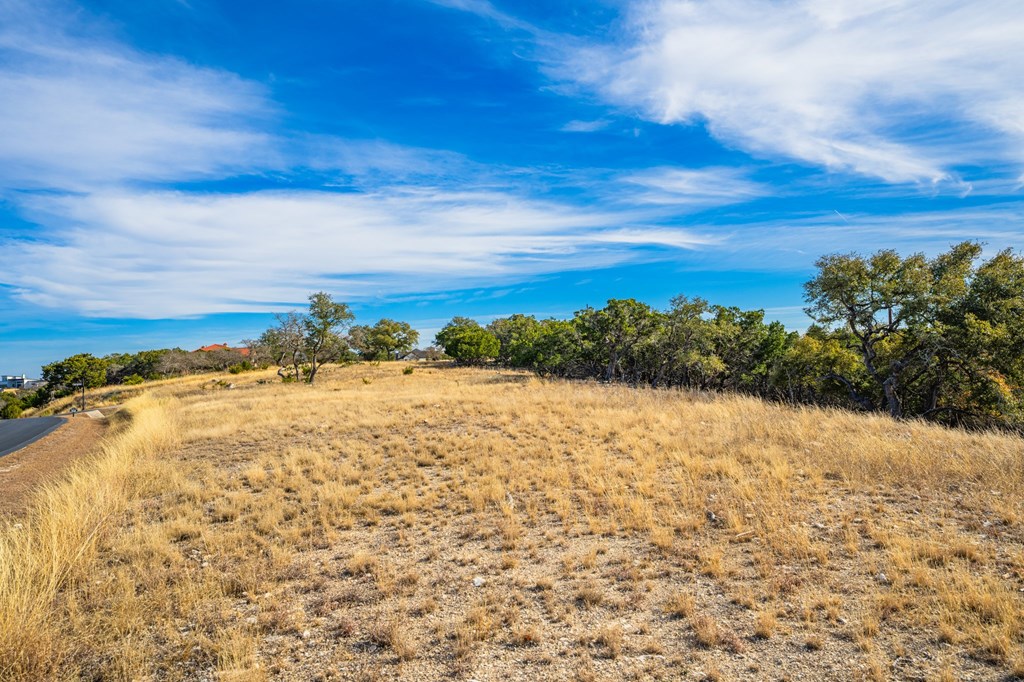216 Heights Trail Kerrville, TX 78028 - Photo 5 of 12