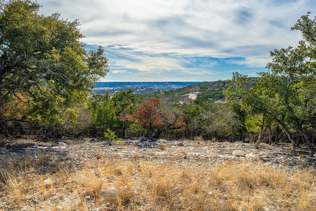216 Heights Trail Kerrville, TX 78028 - Photo 10 of 12