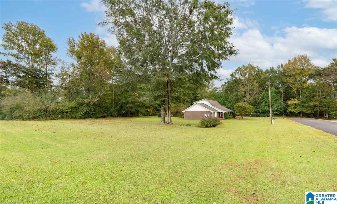 1004 Wood Duck Road Clanton, AL 35045 - Photo 2 of 33