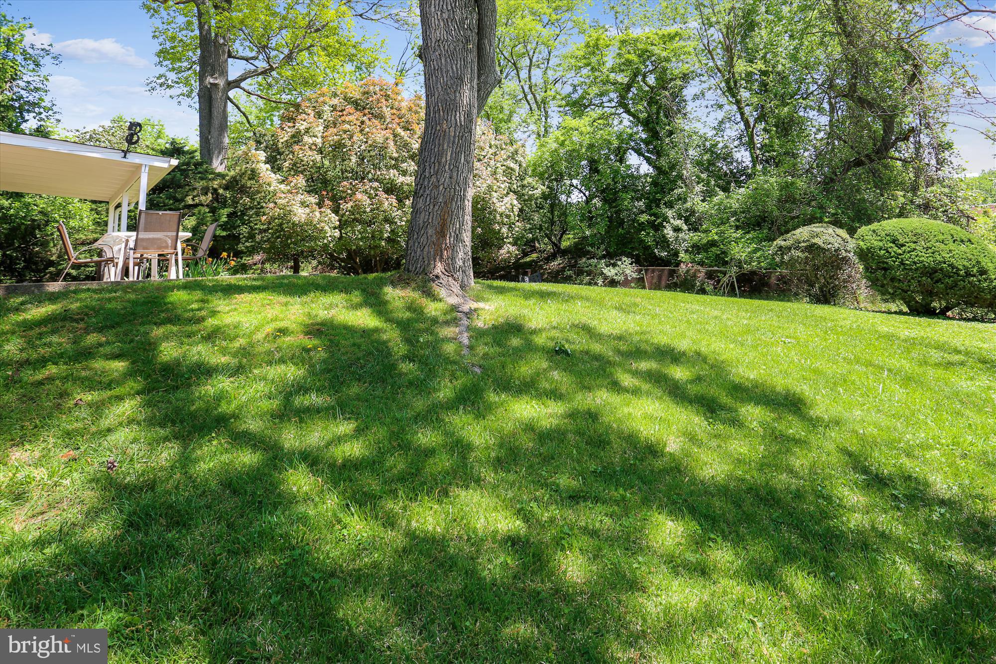 11513 Lovejoy Street Silver Spring, MD 20902 - Photo 29 of 30 Back Yard