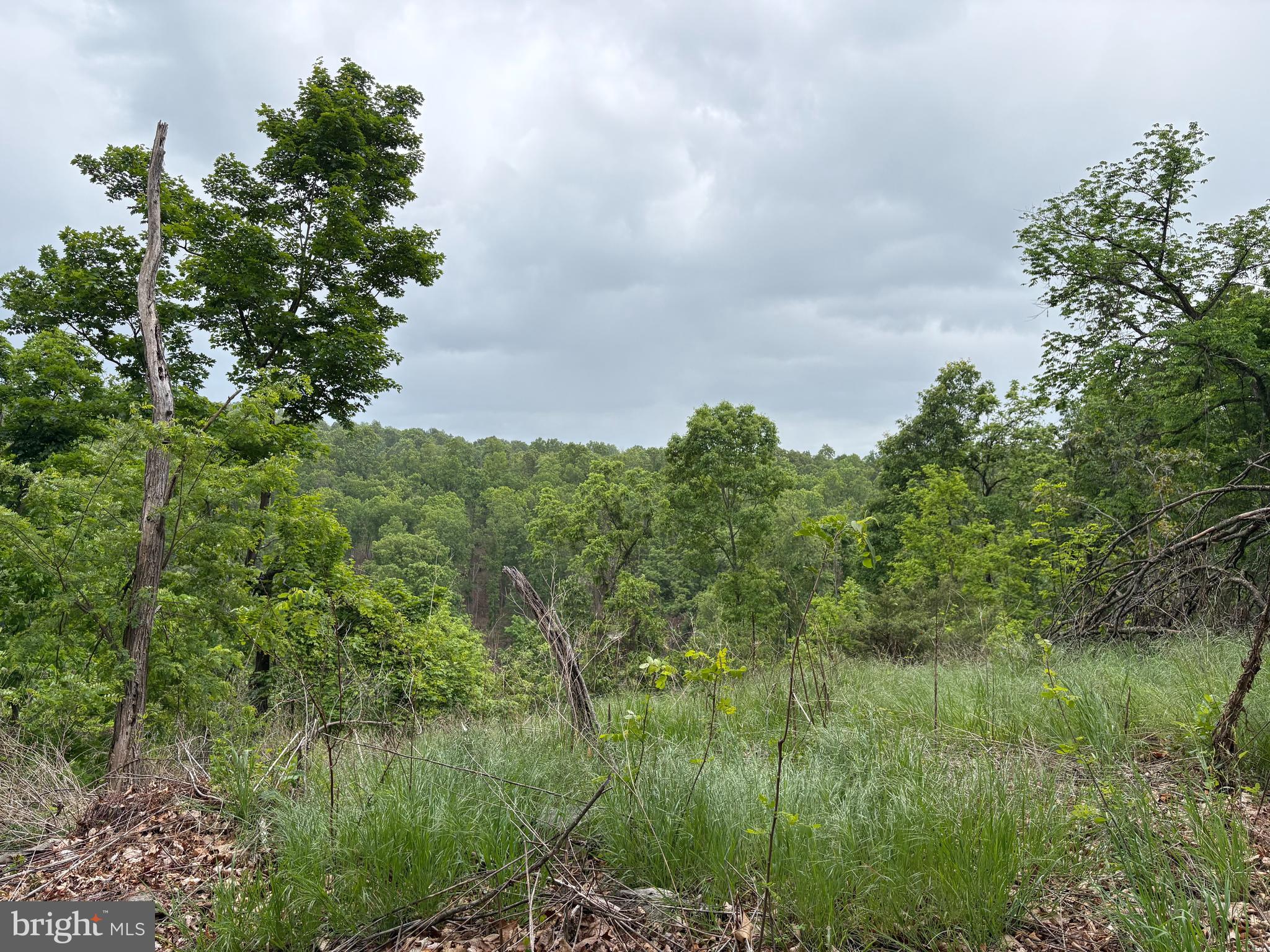 40.15-ac Middle Ridge Road Burlington, WV 26710 - Photo 30 of 47