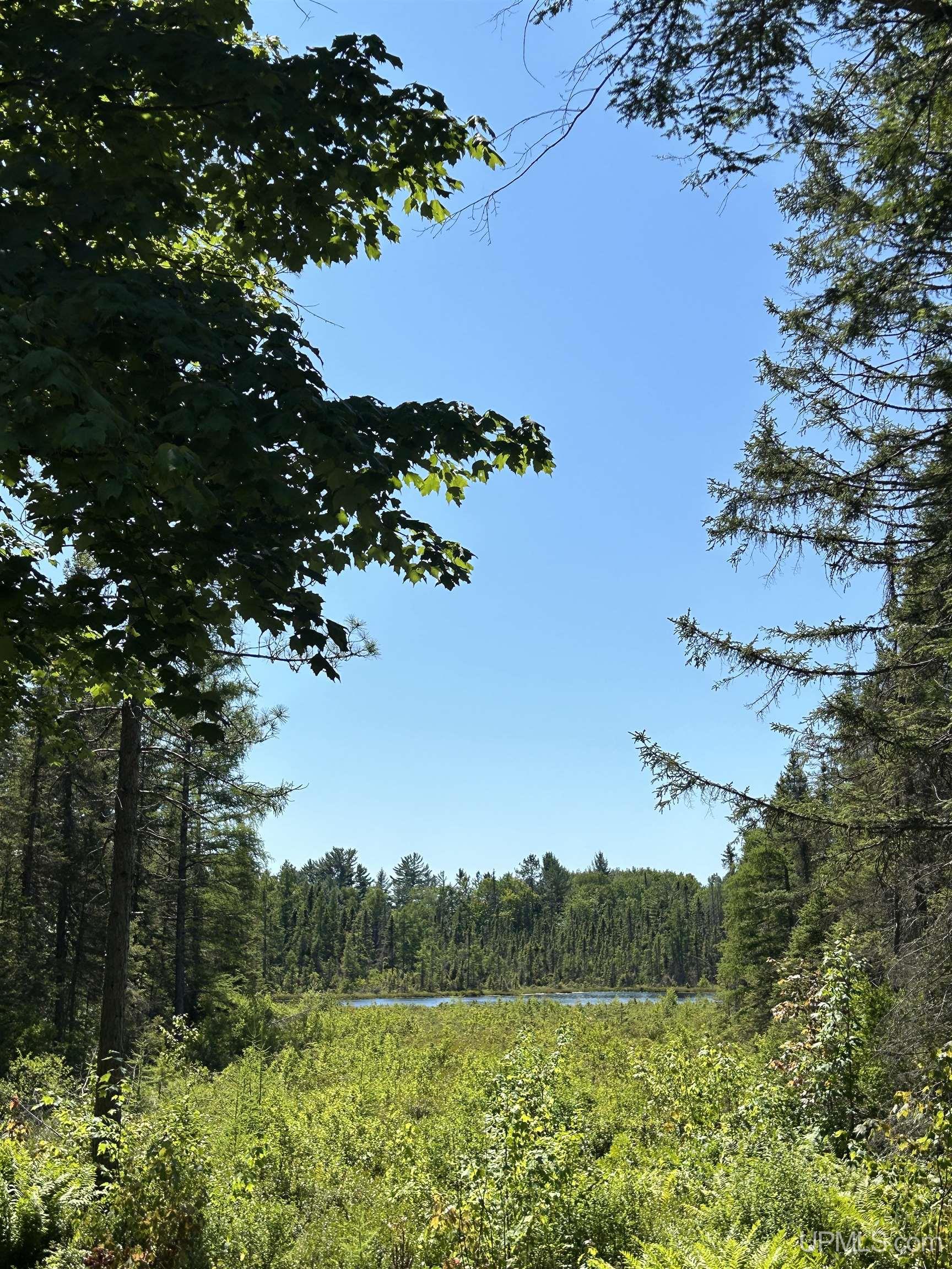 2650 East Co Road Little Lake, MI 49833 - Photo 35 of 40