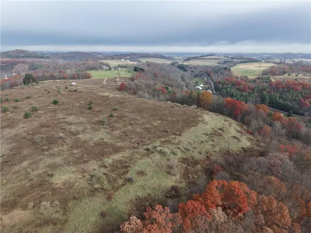 a view of a dry yard with wooden floor and fence