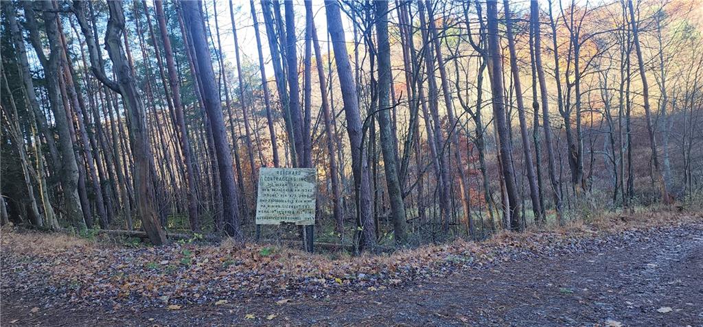 0 Reed Road Mayport, PA 16240 - Photo 2 of 14 a view of a backyard with large trees and wooden fence