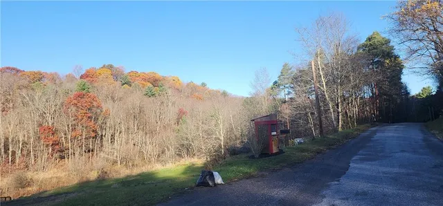 a view of a with large trees