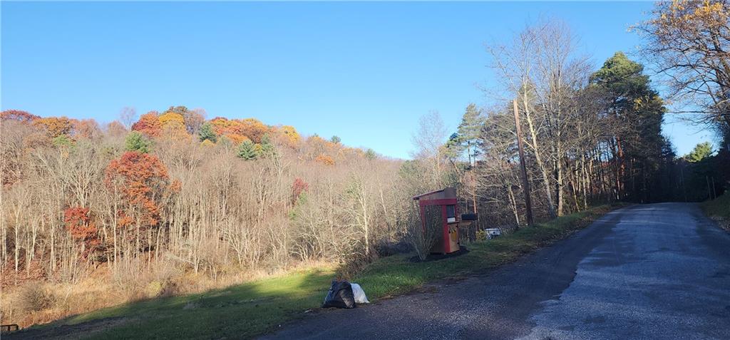 0 Reed Road Mayport, PA 16240 - Photo 3 of 14 a view of a with large trees