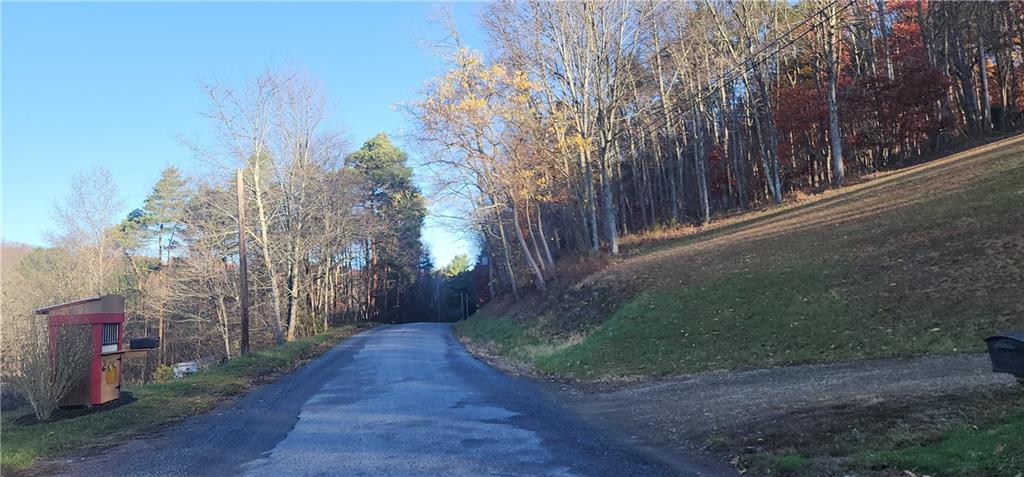 0 Reed Road Mayport, PA 16240 - Photo 4 of 14 a backyard of a house with lots of green space