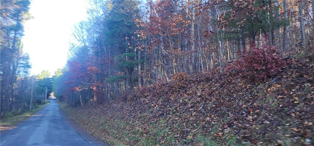 0 Reed Road Mayport, PA 16240 - Photo 5 of 14 a view of a forest with trees in the background