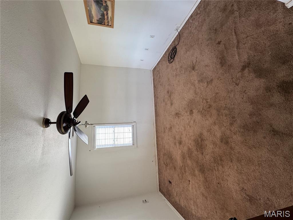 255 West Reed Avenue Puxico, MO 63960 - Photo 6 of 10