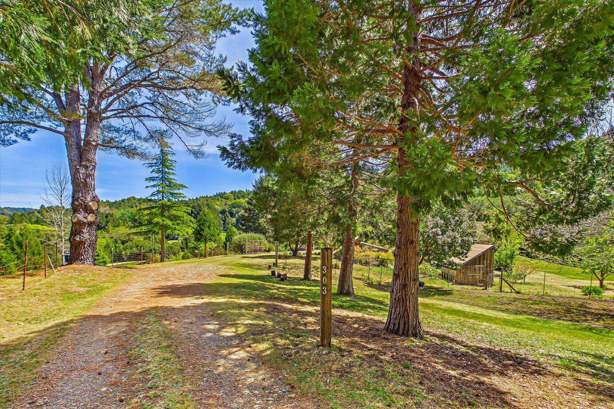 303 Hungry Gulch Road Whitethorn, CA 95589 - Photo 50 of 58