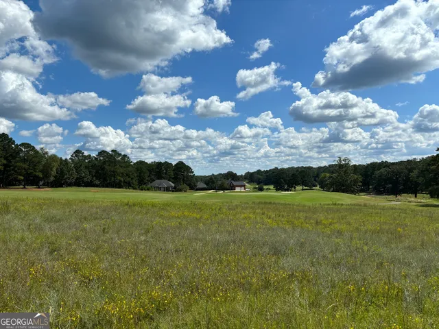 $46,500 | Lot 16 Camden Way, Hawkinsville, GA 31036
