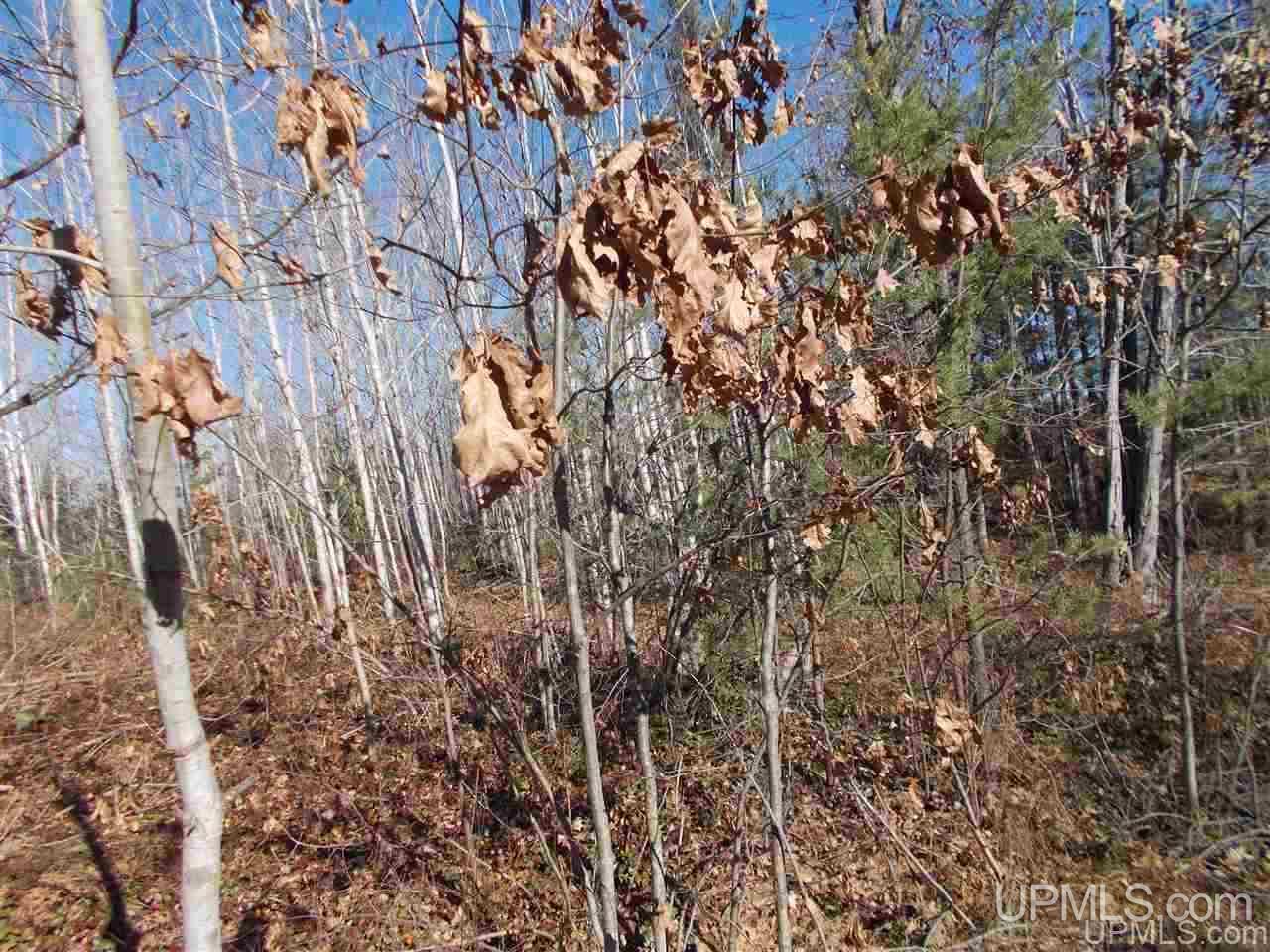 74-acres 74-acres Off Co Road Negaunee, MI 49866 - Photo 10 of 17