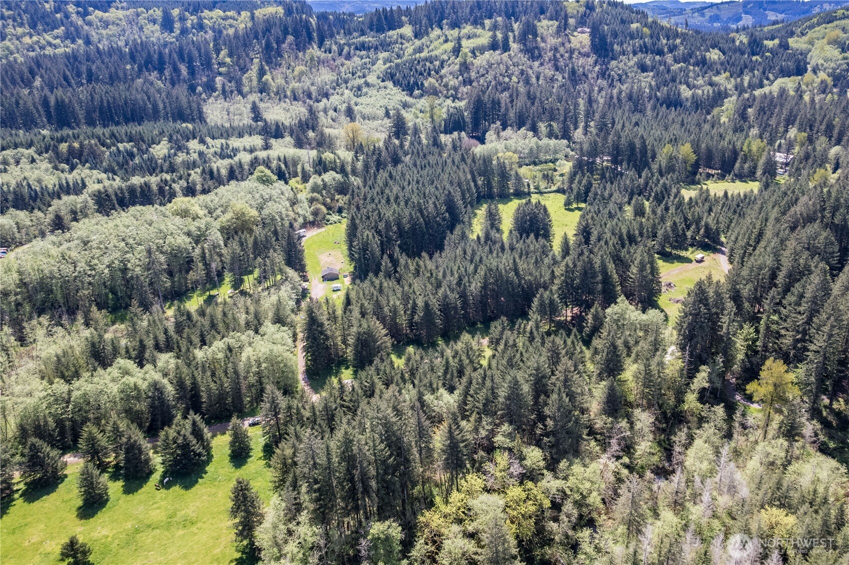 171 Sugar Pine Road Ariel, WA 98603 - Photo 3 of 10