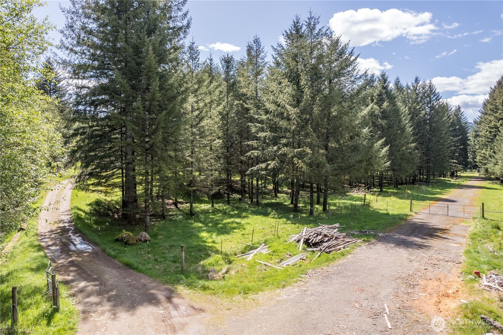 171 Sugar Pine Road Ariel, WA 98603 - Photo 4 of 10