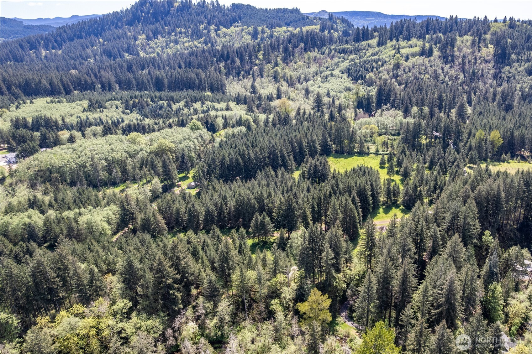 171 Sugar Pine Road Ariel, WA 98603 - Photo 5 of 10