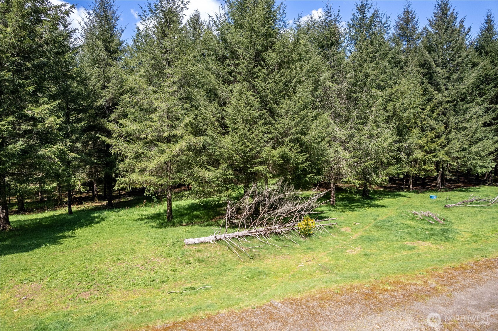 171 Sugar Pine Road Ariel, WA 98603 - Photo 7 of 10