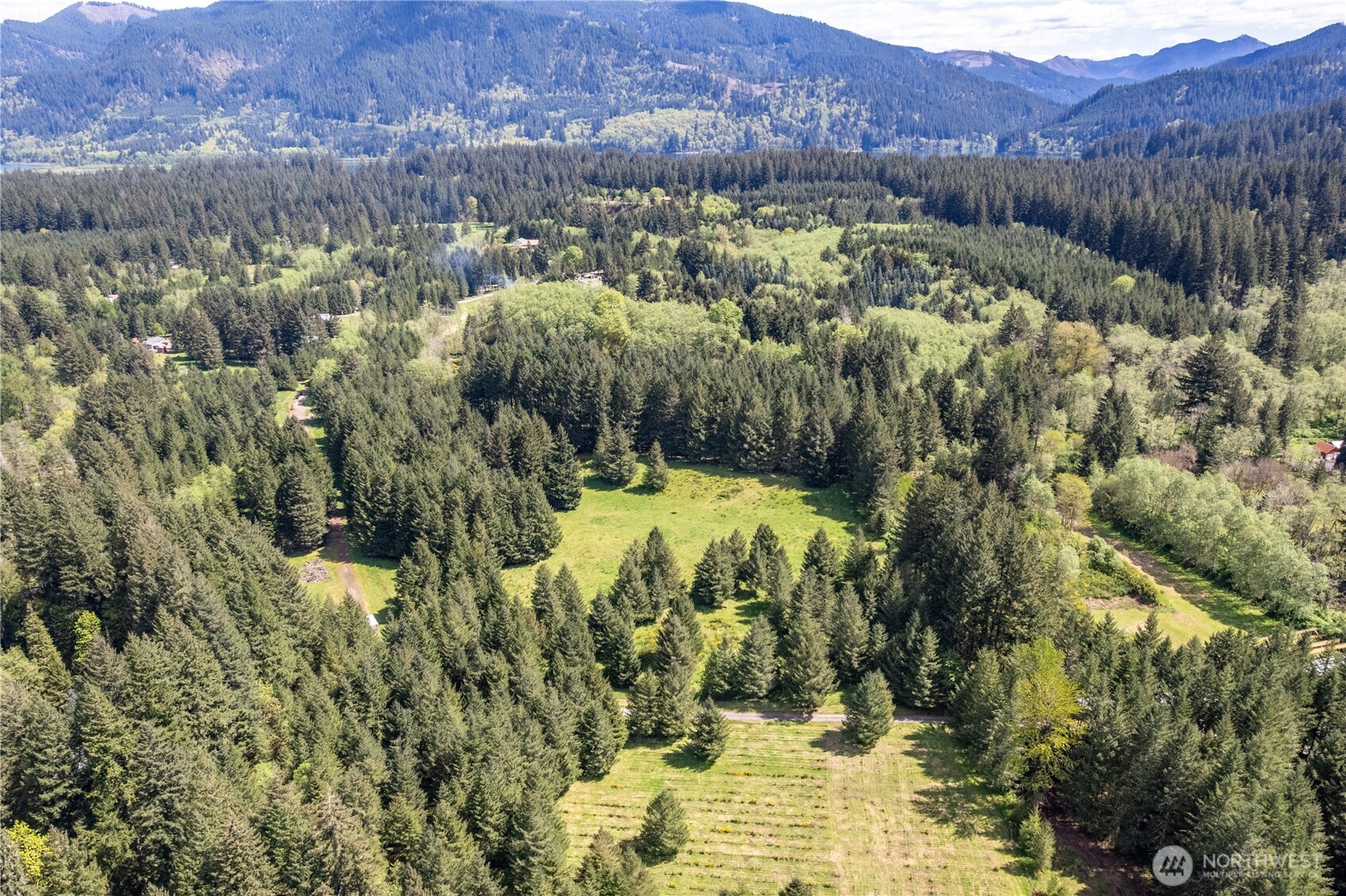 171 Sugar Pine Road Ariel, WA 98603 - Photo 9 of 10